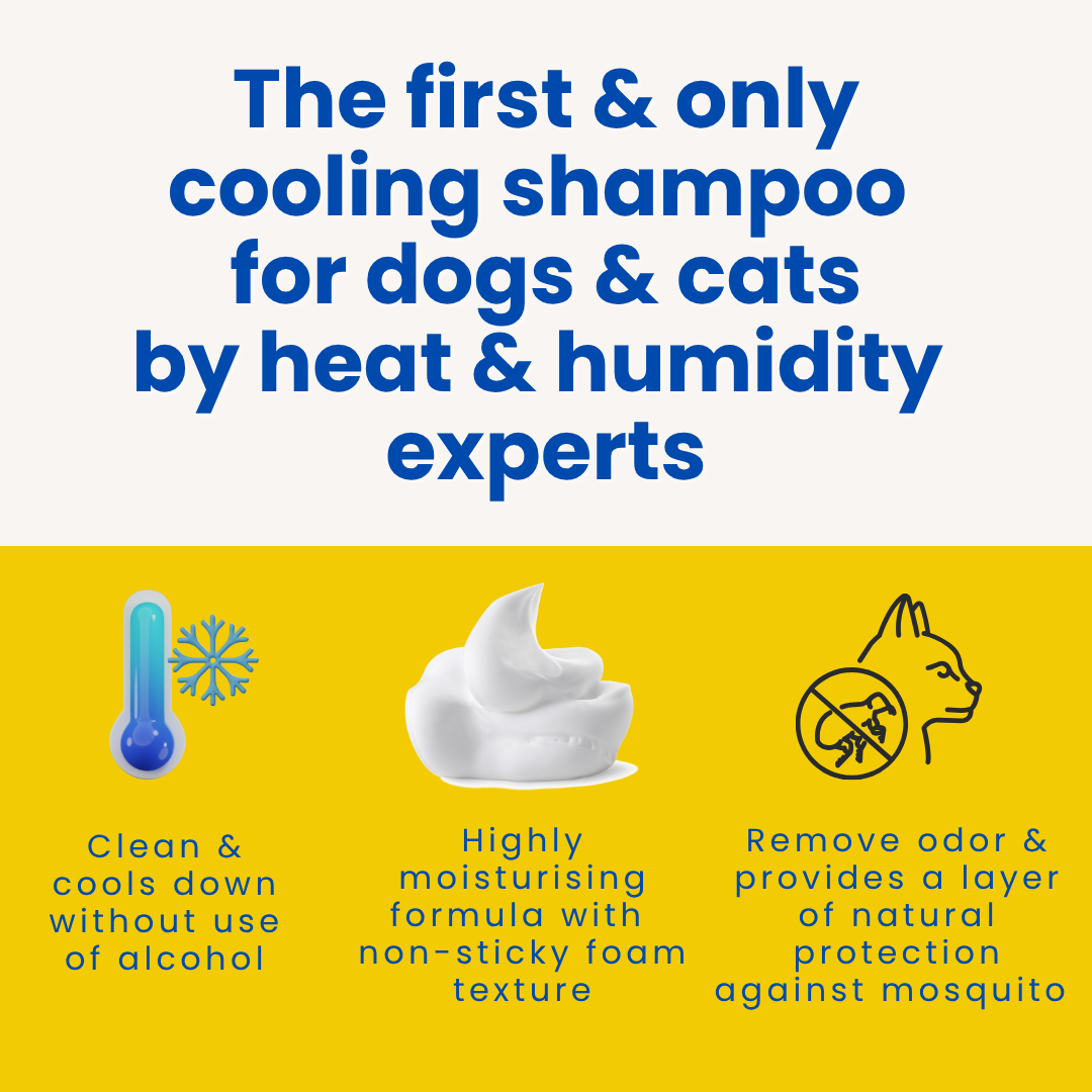 PawsofSoar No Wash Cooling Pet Shampoo Twin Pack