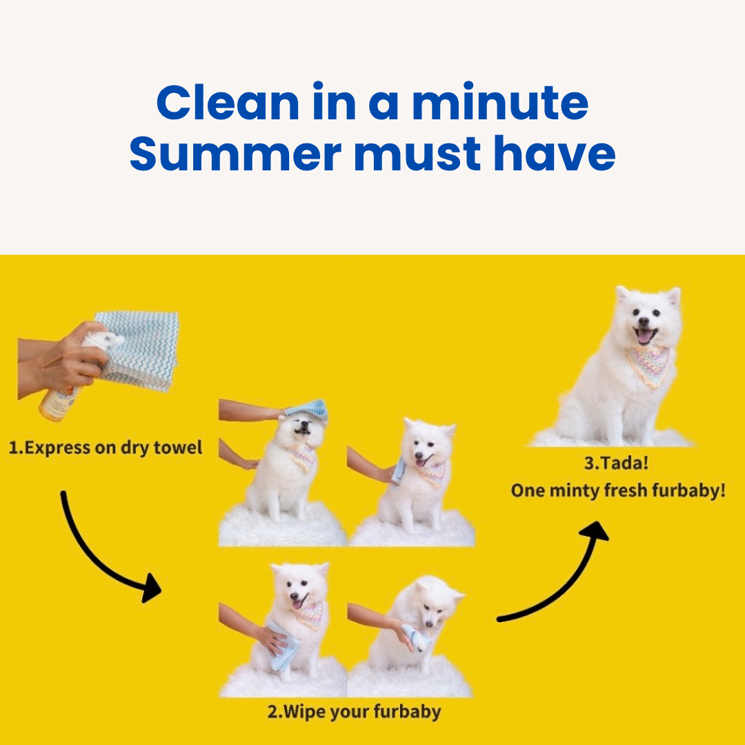 PawsofSoar No Wash Cooling Pet Shampoo Twin Pack