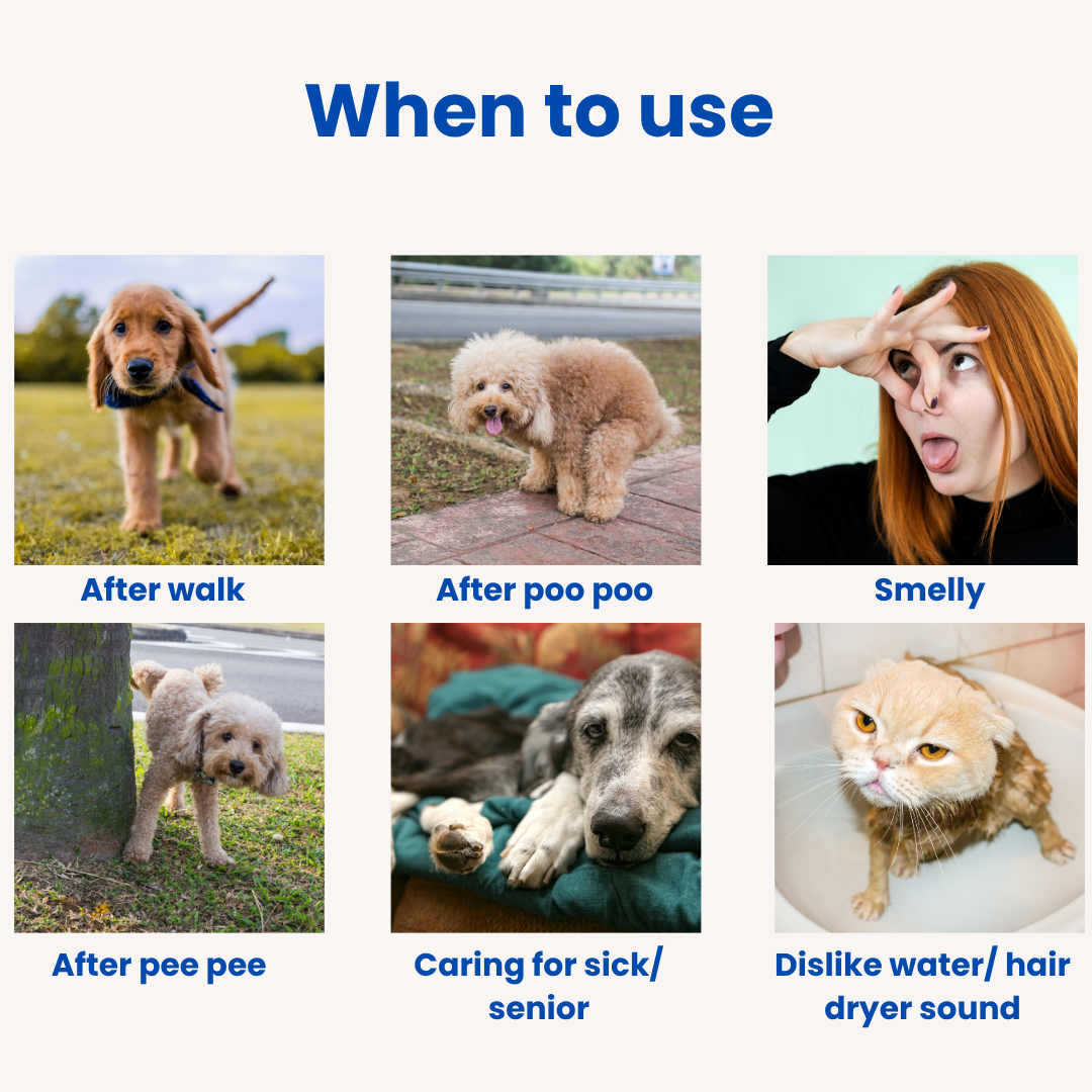 PawsofSoar No Wash Cooling Pet Shampoo Twin Pack