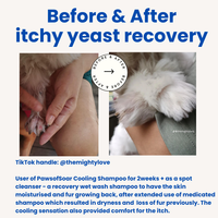 Pet with sensitive skin relief after using waterless cooling shampoo